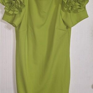 Elegant Green Ruffle Sleeve Dress